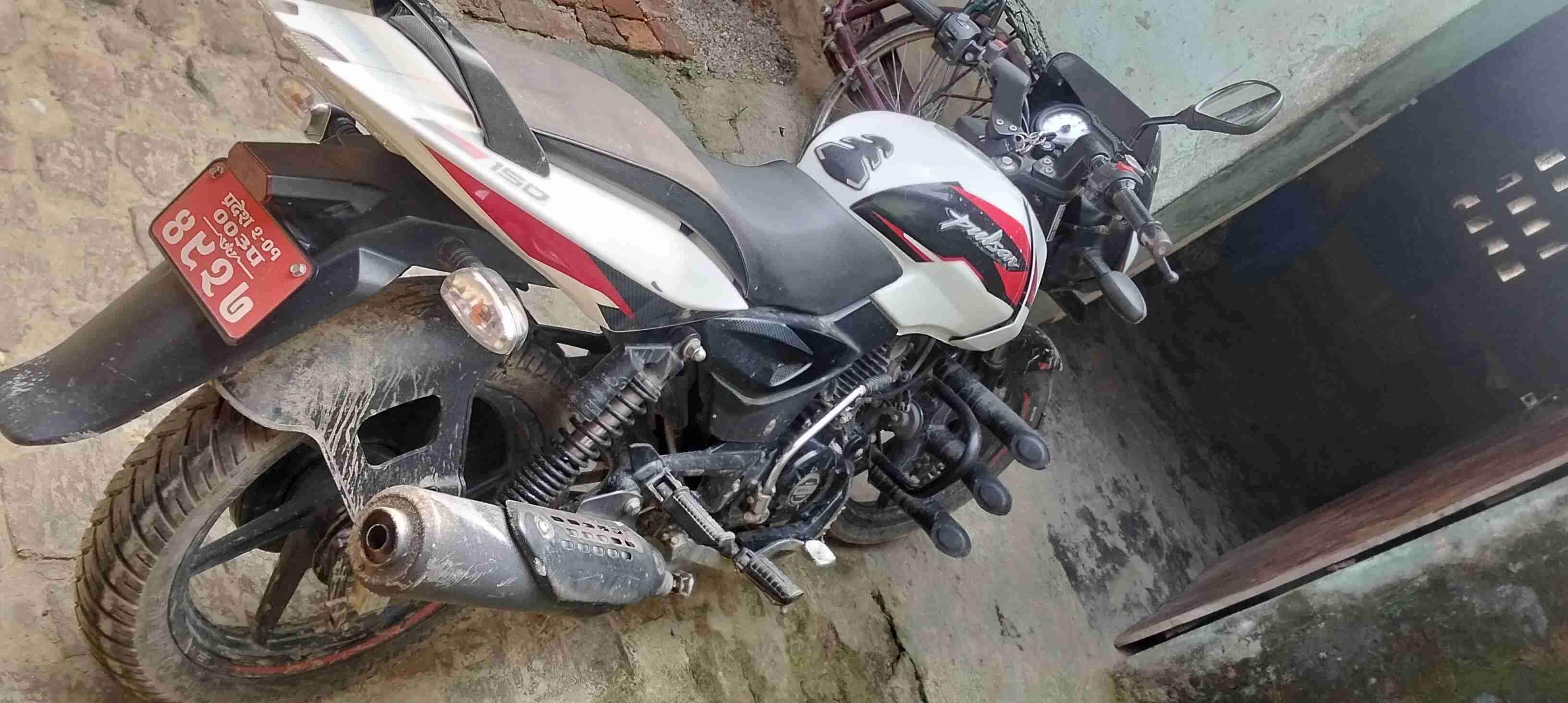Pulsar 150