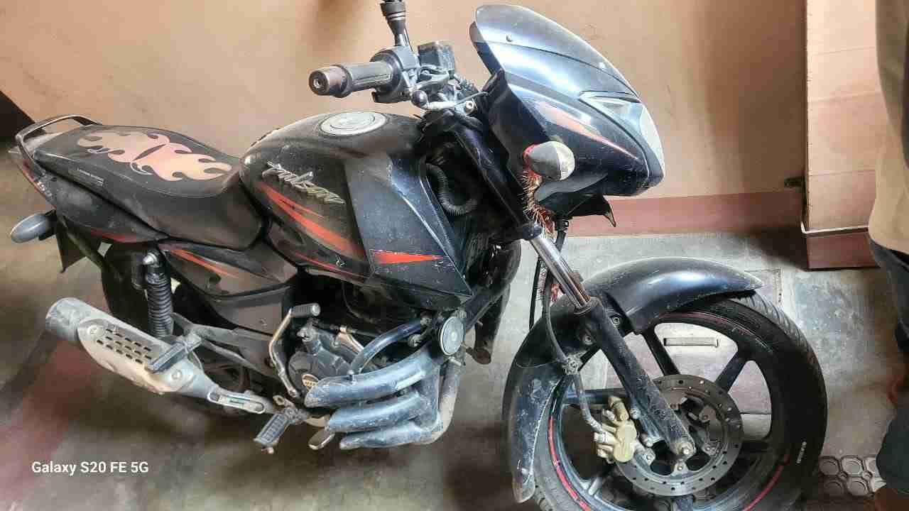 Pulsar 150 cc